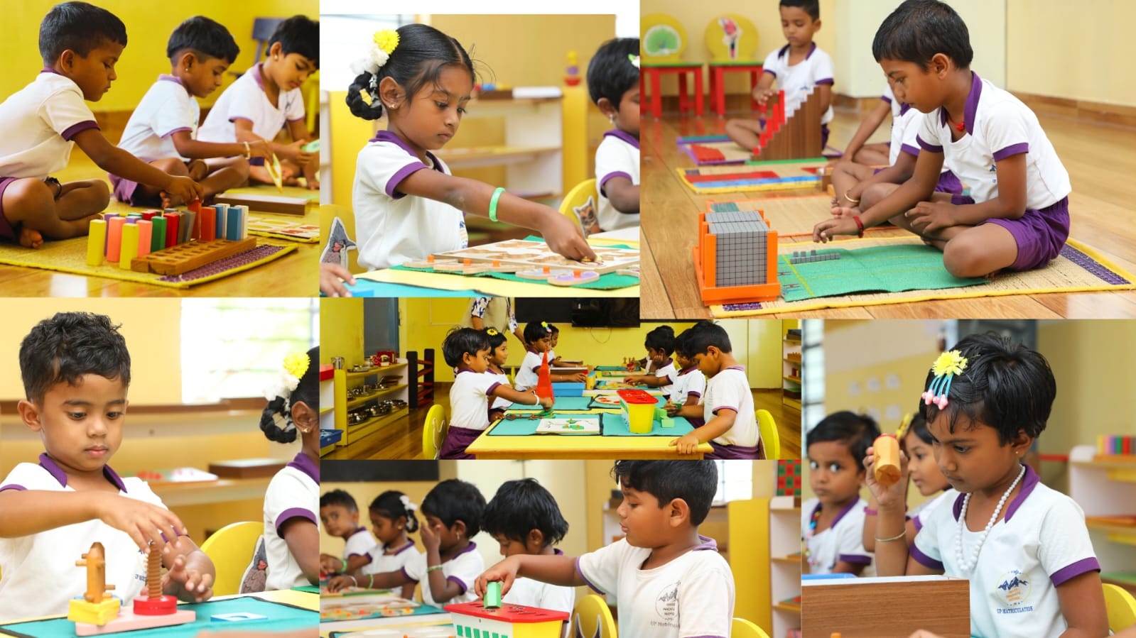 IIT-JEE Integrated Excellence Program
